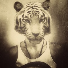 kiss my funk
