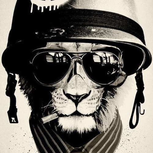 Boomba by Specii