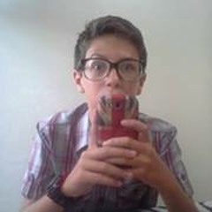 Vinicius Seibert Sostisso