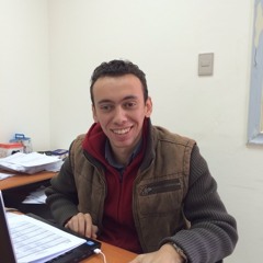 Wael Gabr