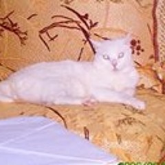 Houda Doudi 2