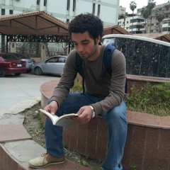 Mahmoud Magdi Zogheb