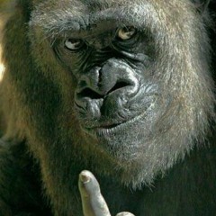 Kevin Oquendo Vaello