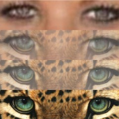 Alexandra Krzywiecka