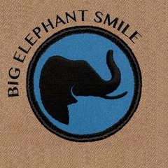 Big Elephant Smile