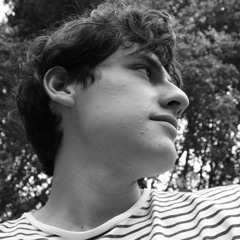 Alex Wolff Rebolledo