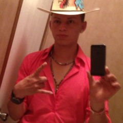 pollitooo