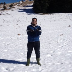 -big-boss-
