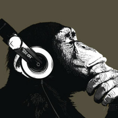 chimp records