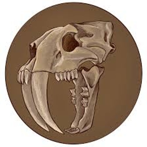 Piedra Jaguar’s avatar