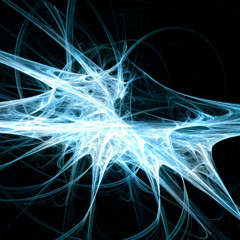 Biomech