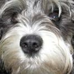 Maryann Nichols Medore