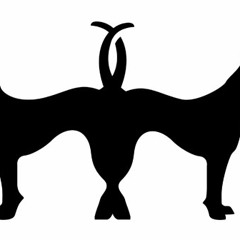 diego minimal