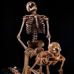 Profesor Propergoles