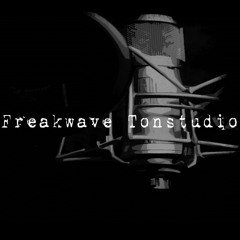 Freakwave Tonstudio