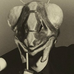 dscmantis