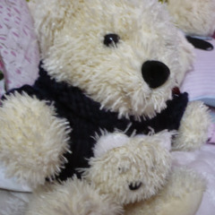 Trinh Tran 12