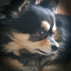 HIRO.TAKA~