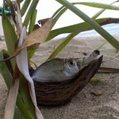 Jack Wellem Evangelista