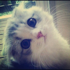 อยู่เพื่อเธอ ver. เพี๊ยนเพี้ยน