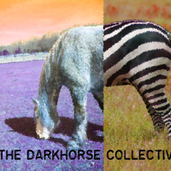 The Darkhorse Collective