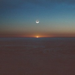 Raw Analog