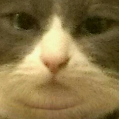 gibbycloud