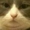 gibbycloud