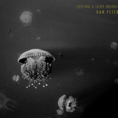 Dan Peters Music