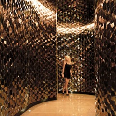 arquitecta de armonía