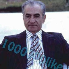 morteza5004