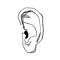 Ear Holes