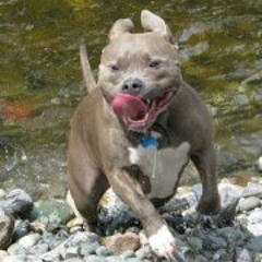 Cory Michael Regenmorter