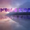 Indigo Kidd