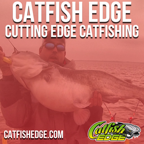 Catfish Edge’s avatar