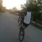 fiee_live
