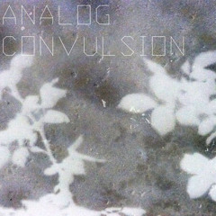 ANALOG CONVULSION