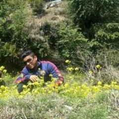 gdxch