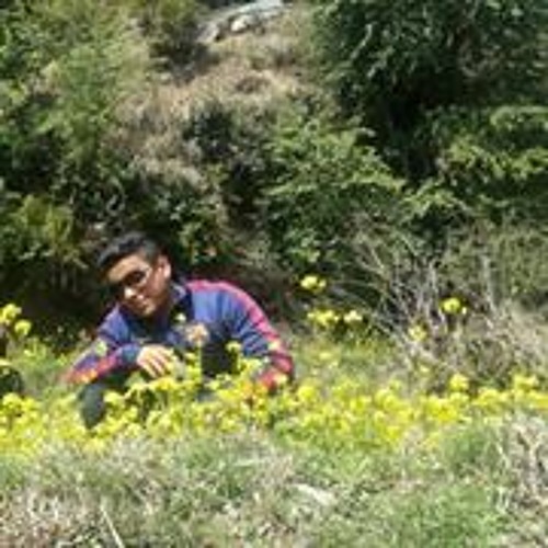 gdxch
