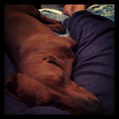 Martin Montaño Revelo