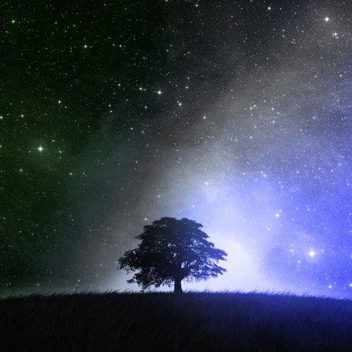 From The Rain [HQ HD]