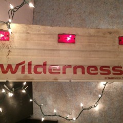 The.Wilderness