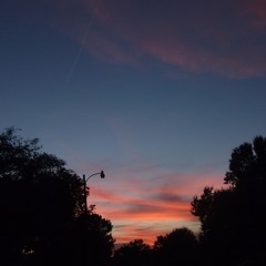 Phazed £ Consciousness