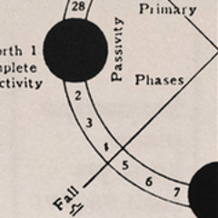 Johnny Borrell & Zazou