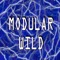 Modular Wild