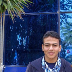 Abdelrahman M. Basiony