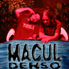maculdenso