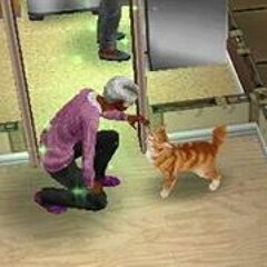 Jean FreePlay Sims