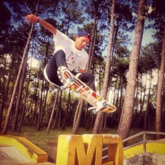 Luis Patrick Leal Fischer