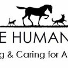 Bmorehumane